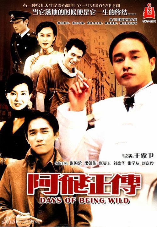 和田师范专科学校学位证样本